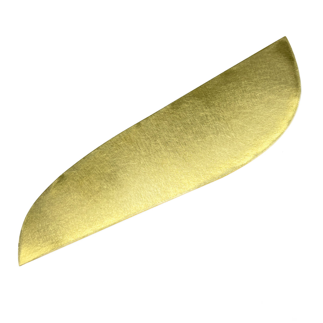 Dolphin Rib